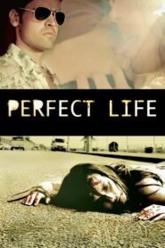 Perfect Life 2010 on netflix