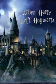 When Harry Left Hogwarts 2011 on netflix