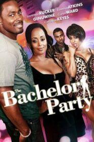 The Bachelor Party 2011 on netflix