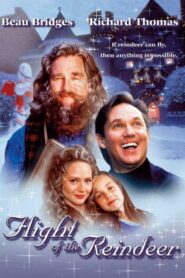 The Christmas Secret 2000 on netflix
