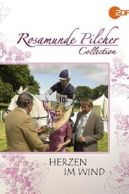 Rosamunde Pilcher: Herzen im Wind 2008 on netflix