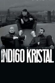 Indigo Crystal 2023 on netflix