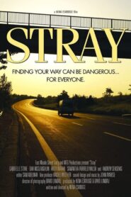 Stray 2015 on netflix