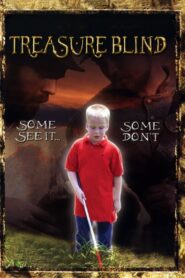 Treasure Blind 2008 on netflix