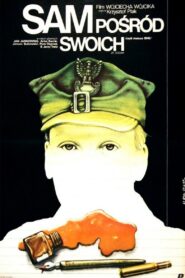 Sam pośród swoich 1986 on netflix