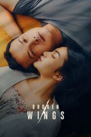 Broken Wings 2022 on netflix