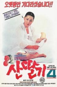 Mountain Strawberries 4 1991 on netflix