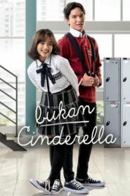 Bukan Cinderella 2022 on netflix