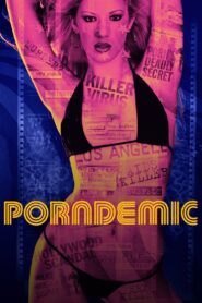 Porndemic 2018 on netflix