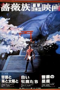 Roses, the Sea and the Sun 1982 on netflix