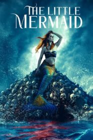 The Little Mermaid 2024 on netflix