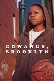 Gowanus, Brooklyn 2004 on netflix