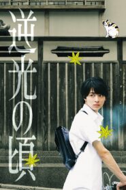 Lights of Kyoto 2017 on netflix