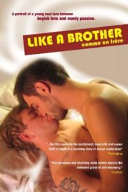 Like a Brother 2005 on netflix