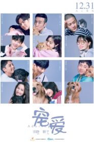 Adoring 2019 on netflix