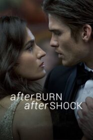 Afterburn/Aftershock 2017 on netflix