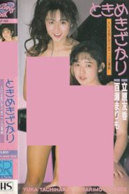Tokimekizakari 1988 on netflix