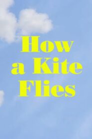 How a Kite Flies 2017 on netflix