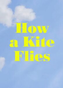How a Kite Flies 2017 on netflix
