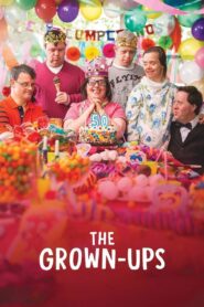 The Grown-Ups 2017 on netflix