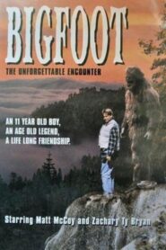 Bigfoot: The Unforgettable Encounter 1994 on netflix