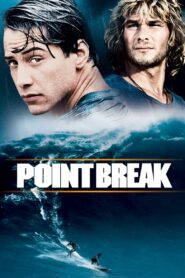 Point Break 1991 on netflix