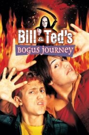 Bill & Ted’s Bogus Journey 1991 on netflix
