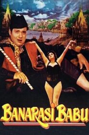 Banarasi Babu 1997 on netflix