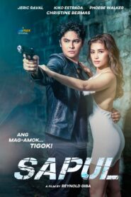 Sapul 2023 on netflix