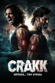 Crakk: Jeetega… Toh Jiyegaa 2024 on netflix