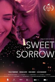 Sweet Sorrow 2023 on netflix