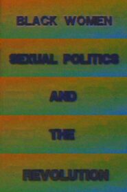 Black Women, Sexual Politics and the Revolution 1992 on netflix