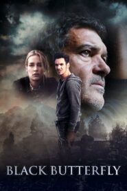 Black Butterfly 2017 on netflix