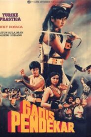 Warrior Girl 1990 on netflix