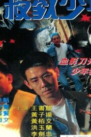 Juvenile Delinquency 1995 on netflix