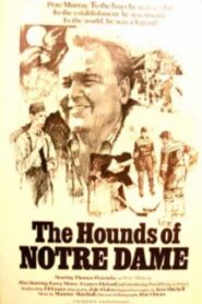 Hounds of Notre Dame 1980 on netflix
