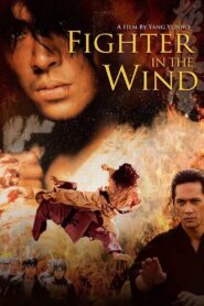Fighter in the Wind 2004 on netflix