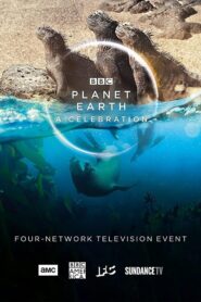 Planet Earth: A Celebration 2020 on netflix