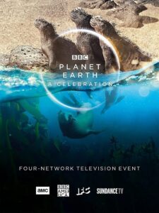 Planet Earth: A Celebration 2020 on netflix