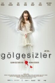 The Shadowless 2009 on netflix