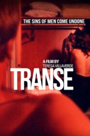 Trance 2006 on netflix