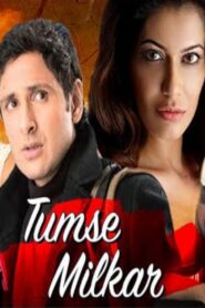 Tumse Milkar 2010 on netflix