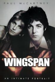 Wingspan 2001 on netflix