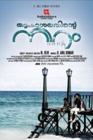 Color of Sky 2012 on netflix