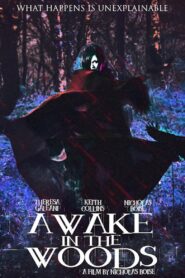 Awake In The Woods 2015 on netflix