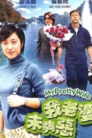 My Pretty Wife 2003 on netflix