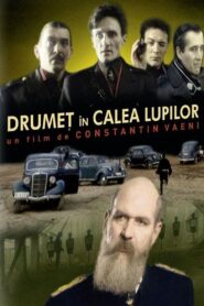 Drumeț în calea lupilor 1990 on netflix