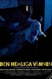 The Secret Friend 1990 on netflix