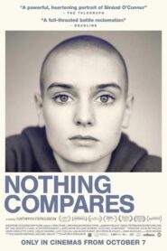 Nothing Compares 2022 on netflix