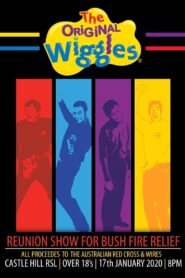 The Original Wiggles Reunion Show For Bushfire Relief 2020 on netflix